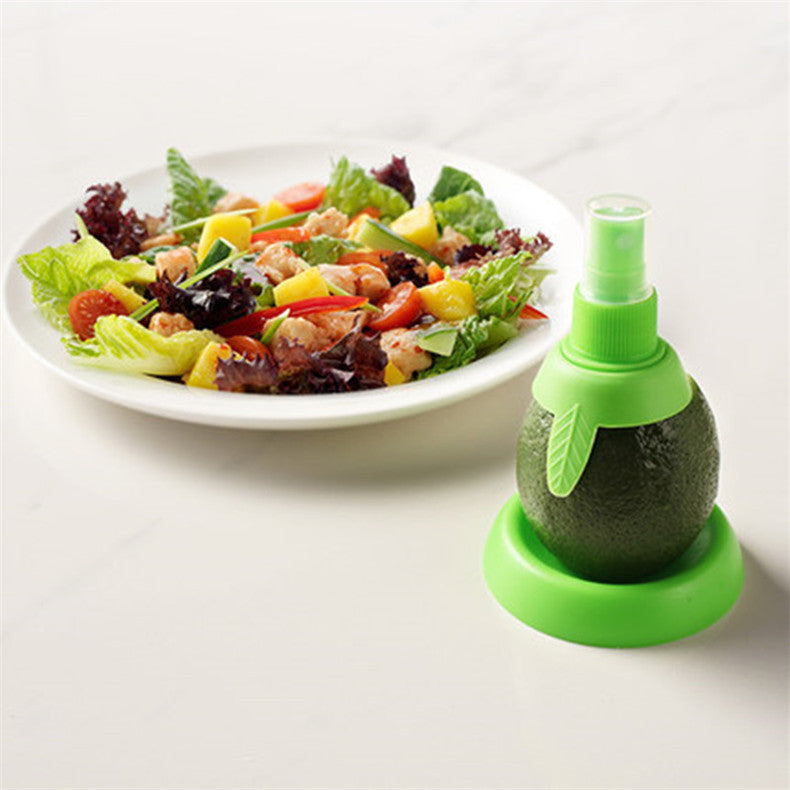 Fruit Juicer Sprayer
