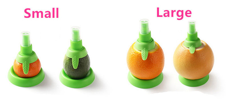Fruit Juicer Sprayer
