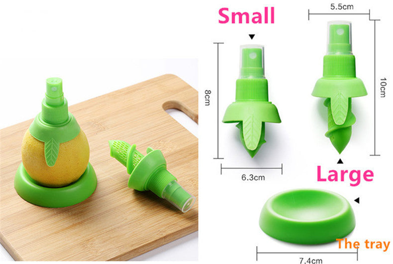 Fruit Juicer Sprayer